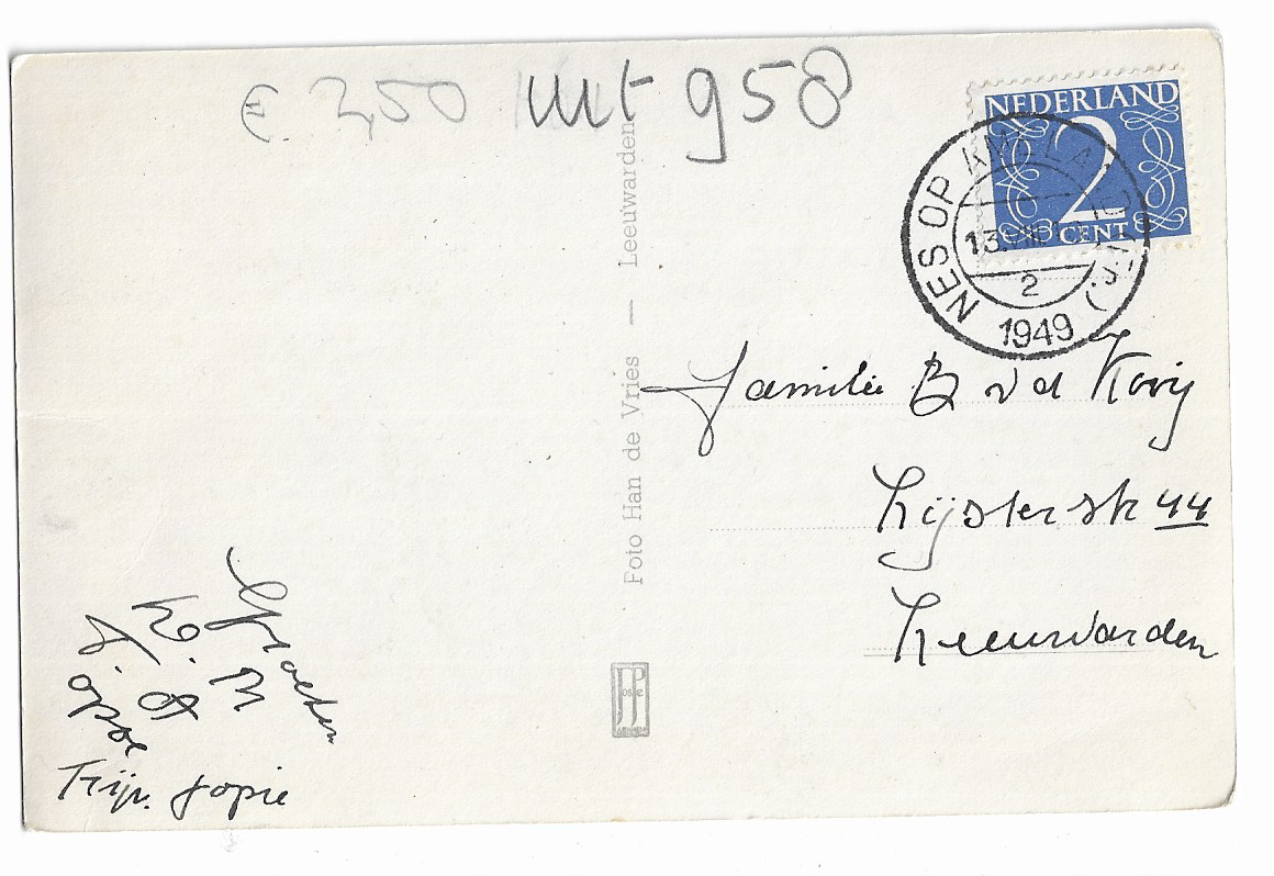 Ameland, Zonnige duinen