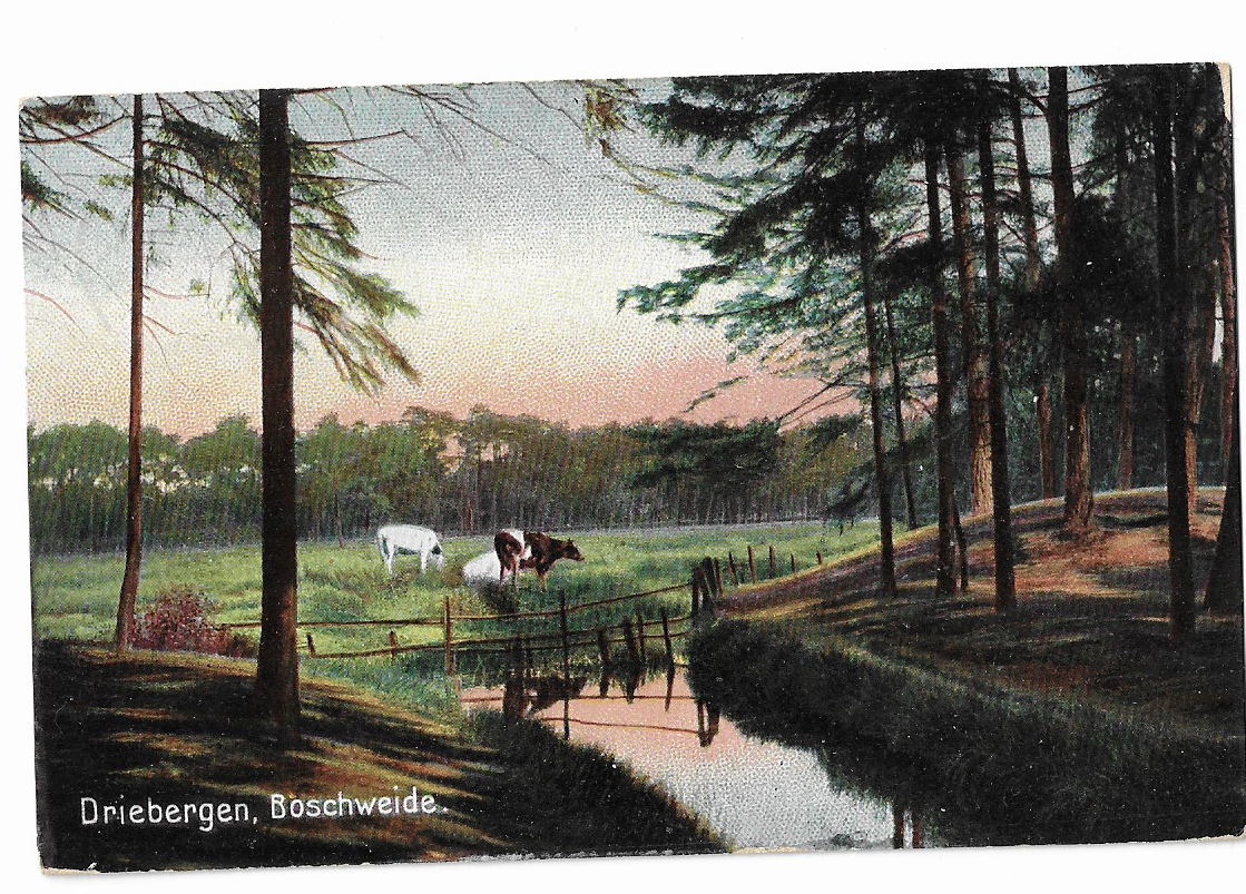 Driebergen, Boschweide