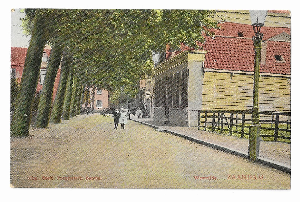Zaandam, Westzijde(tulp)