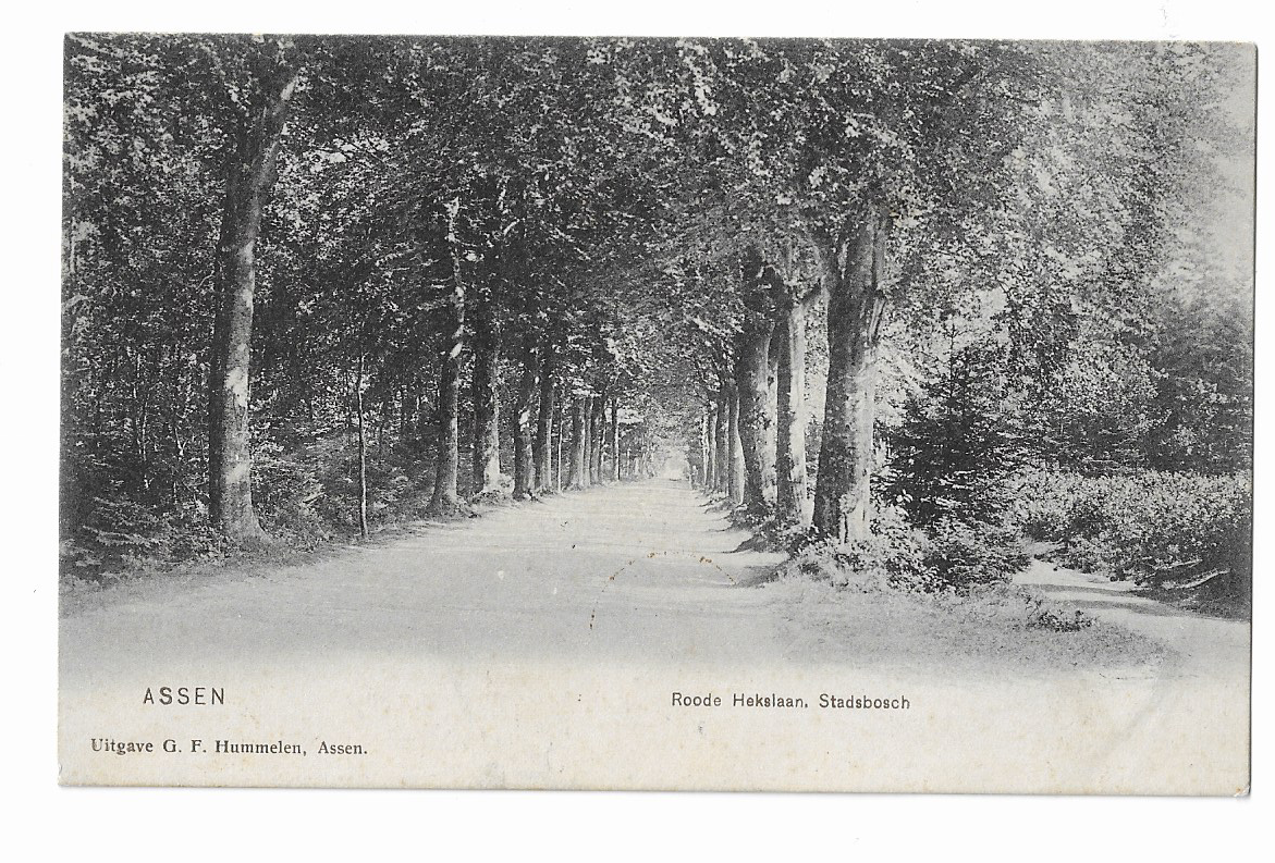 Assen Roode Hekslaan Stadsbosch