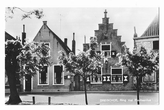 Dreischor, Ring met Plaetsenuus