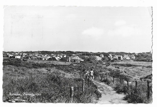 Renesse, Zomerhuisjes