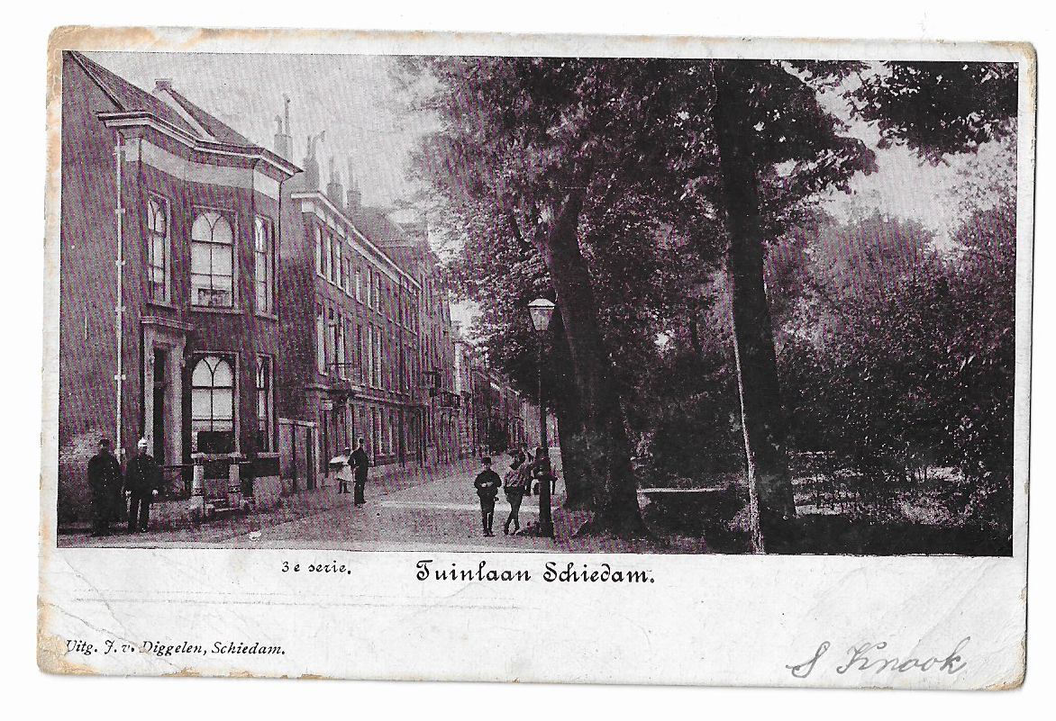 Schiedam, Tuinlaan