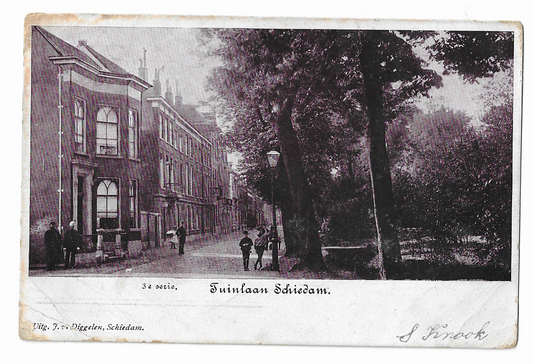 Schiedam, Tuinlaan