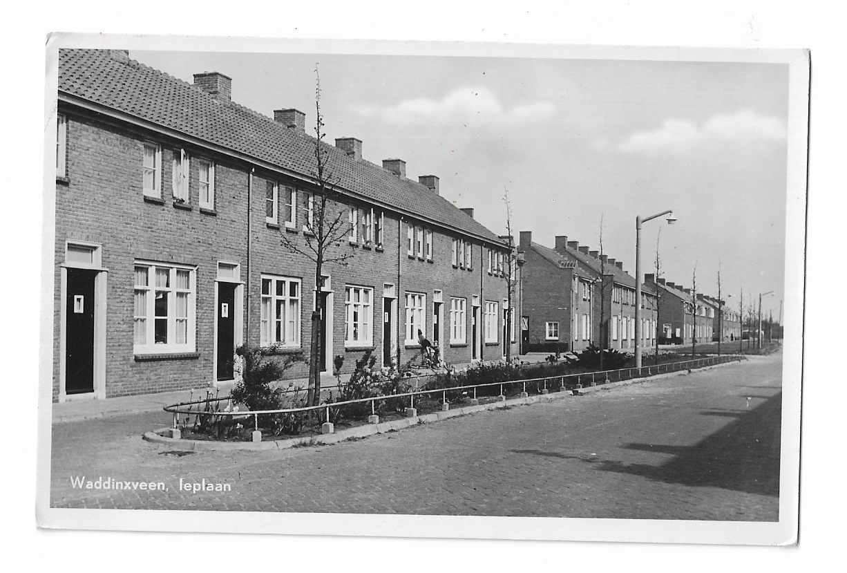 Waddinxveen, Ieplaan