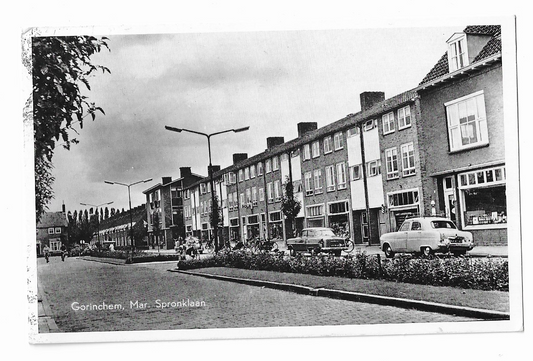 Gorinchem, Mar. Spronklaan
