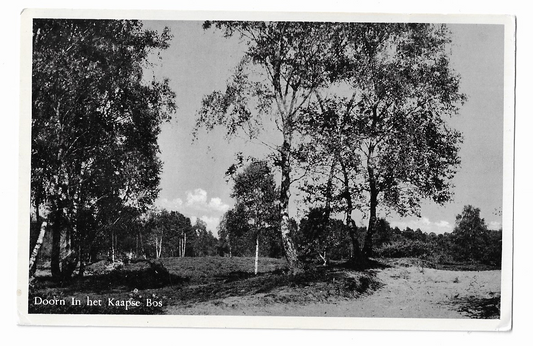 Doorn, In het Kaapse Bos
