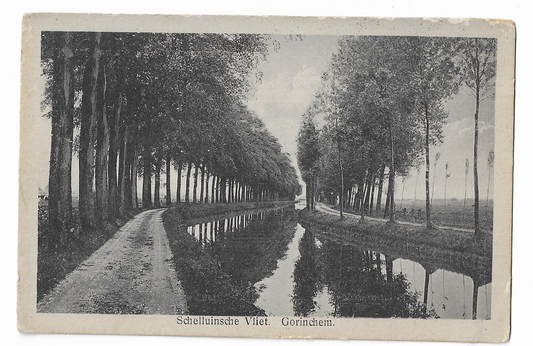 Gorinchem, Schelluinsche Vliet