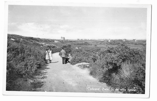 Cadzand, Zwin in de vrije natuur