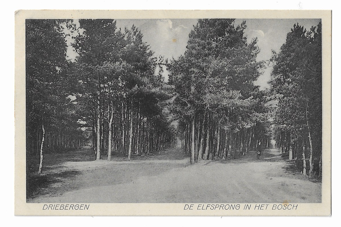 Driebergen, De Elfsprong in het Bosch