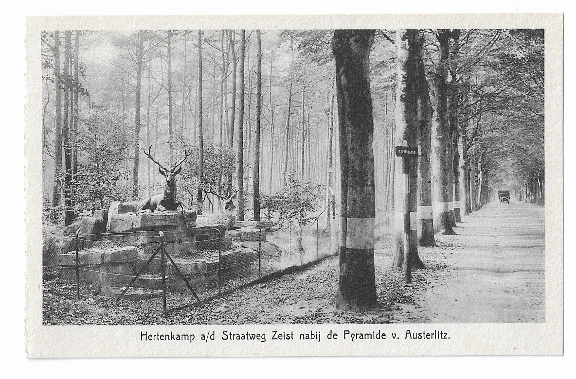 Zeist, Pyramide van Austerlitz, Hertenkamp a/d Straatweg