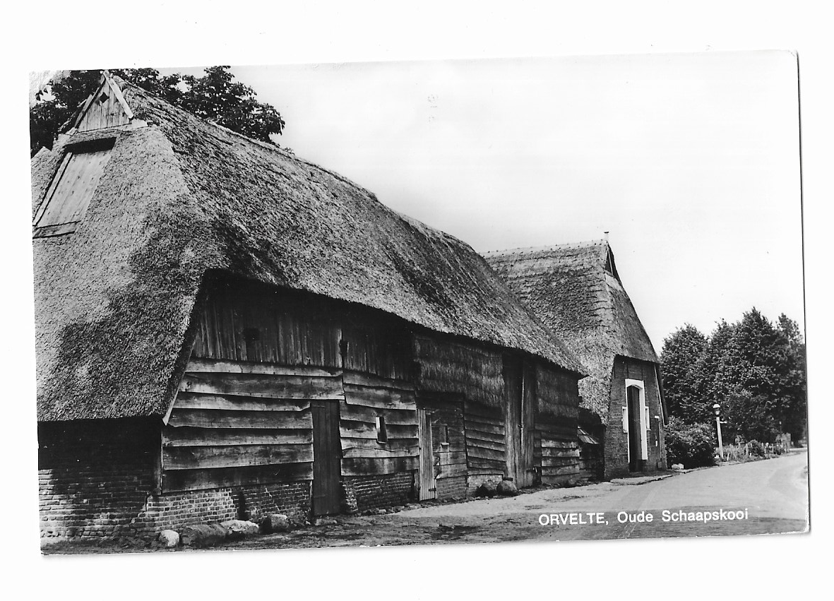 Orvelte, Oude Schaapskooi