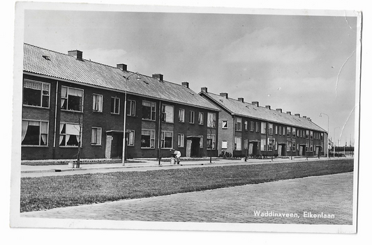 Waddinxveen, Eikenlaan