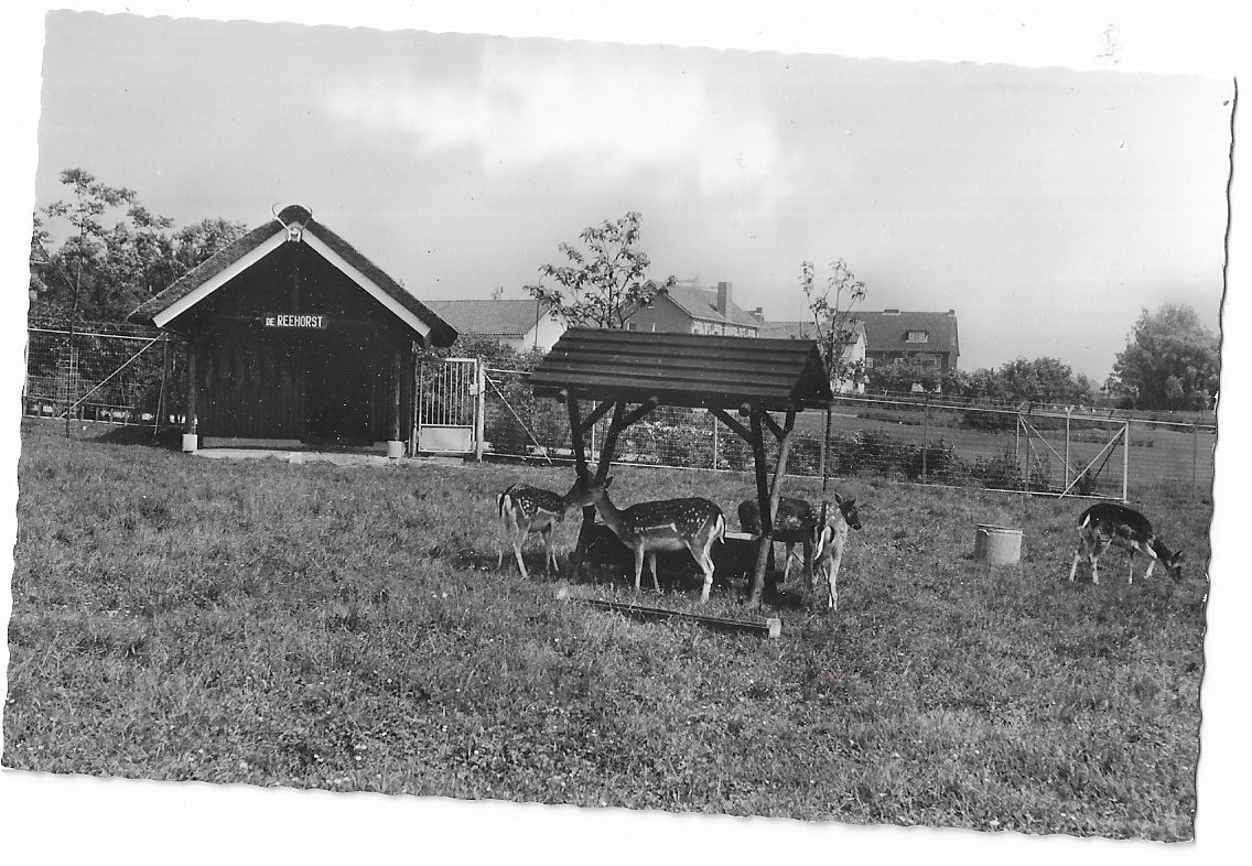 Waddinxveen, Hertenkamp ,,De Reehorst"