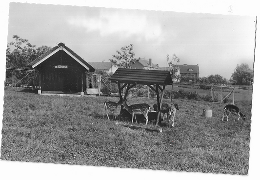 Waddinxveen, Hertenkamp ,,De Reehorst"