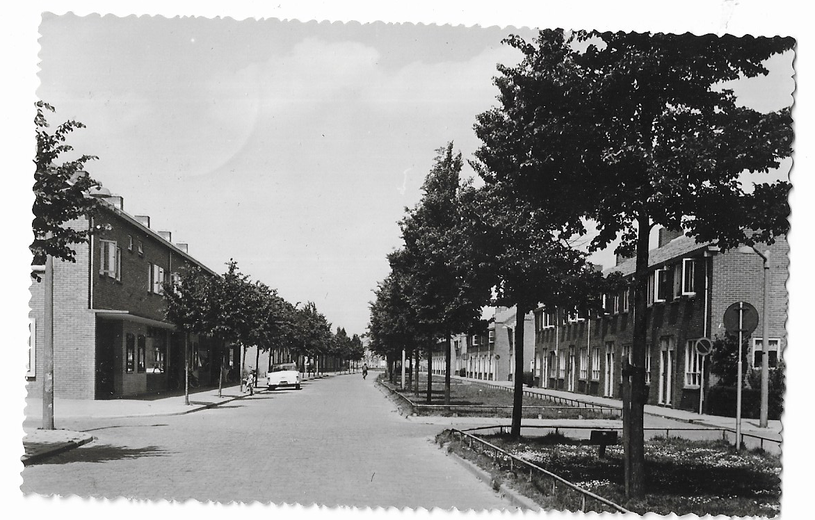 Waddinxveen, Ieplaan