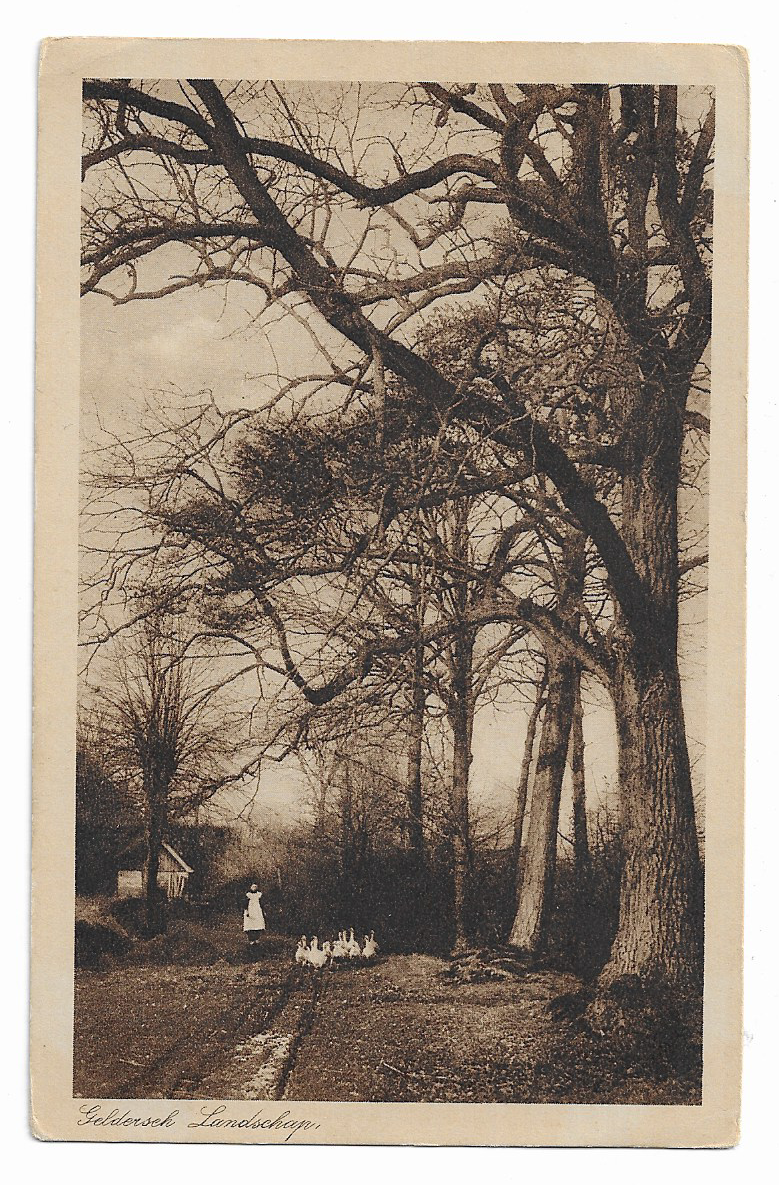 Geldersch landschap