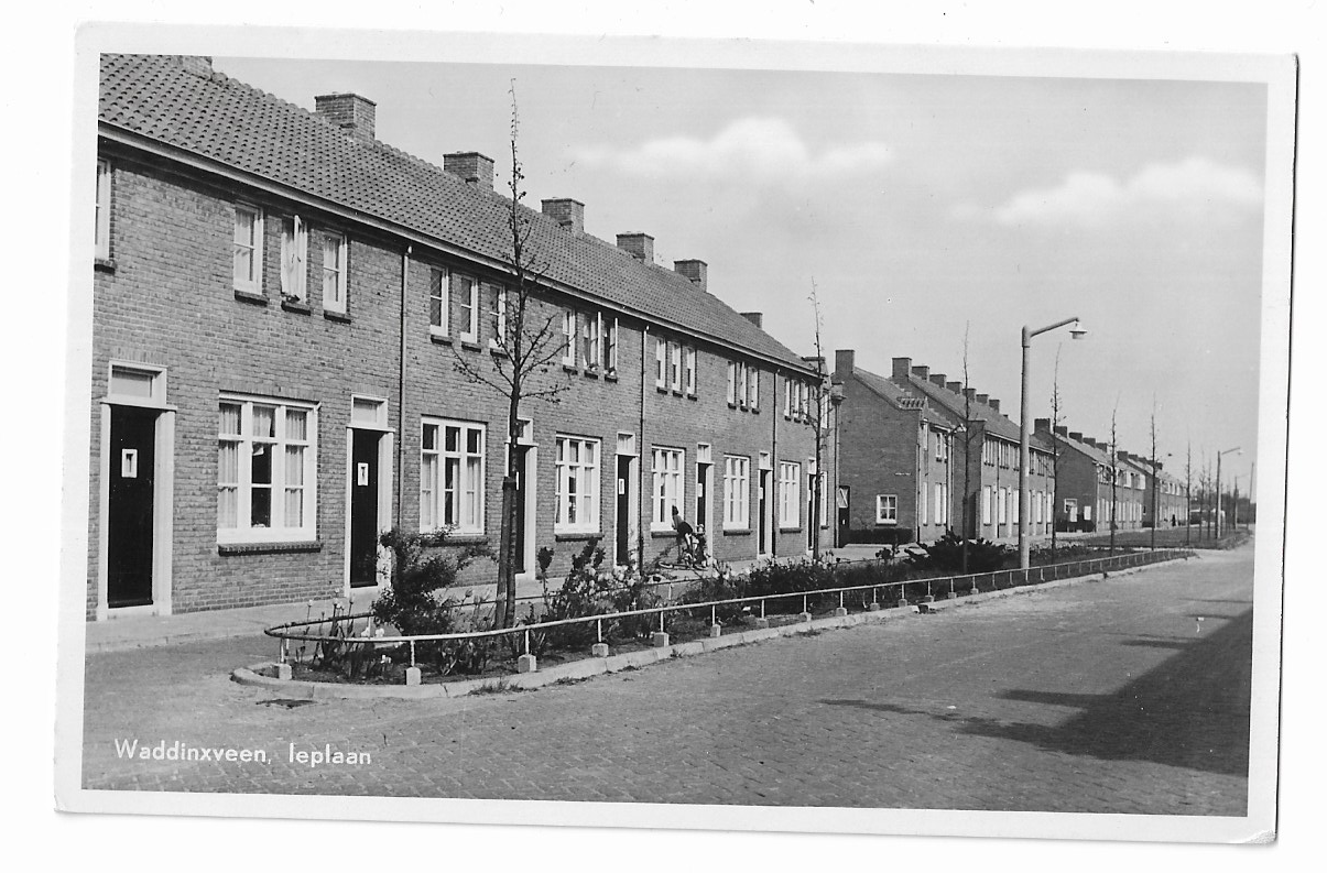 Waddinxveen, Ieplaan