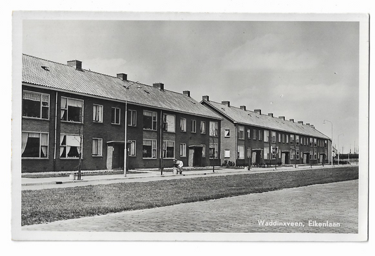 Waddinxveen, Eikenlaan