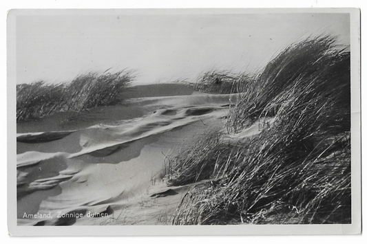 Ameland, Zonnige duinen