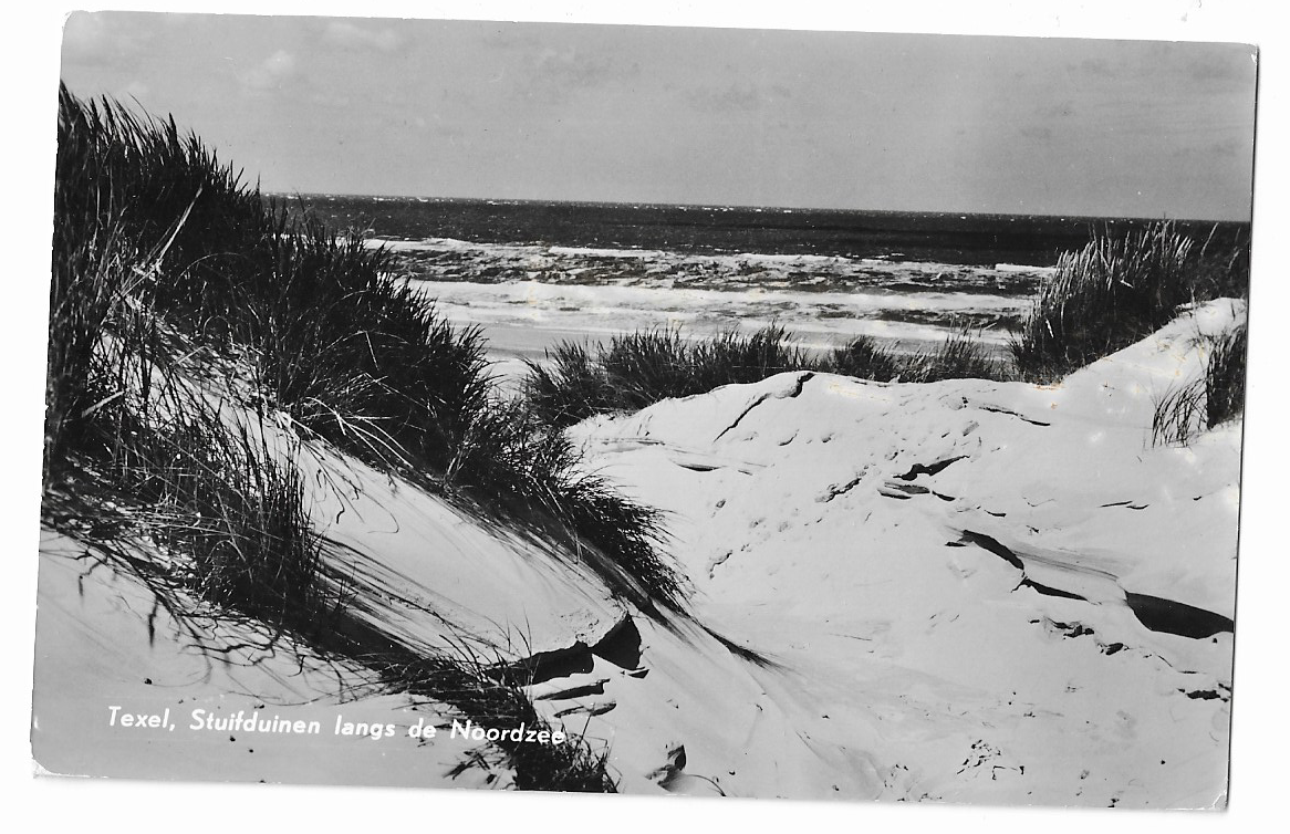 Texel, Stuifduinen langs de Noordzee