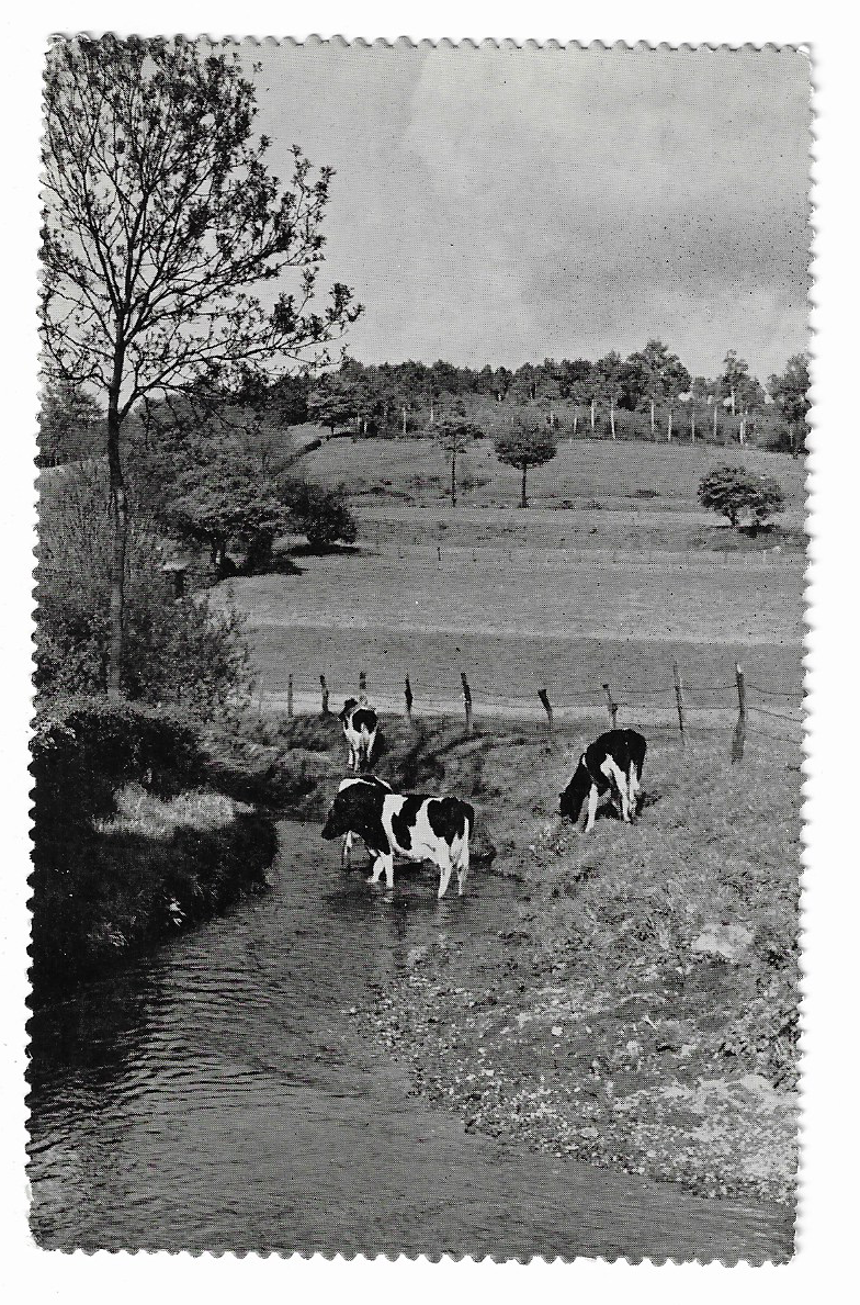Slenaken In ,,de Del''