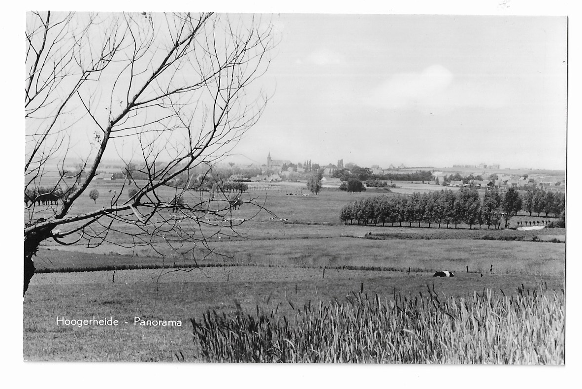 Hoogerheide, Panorama