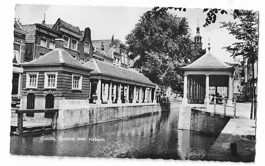 Gouda, Gouwe met Visbank