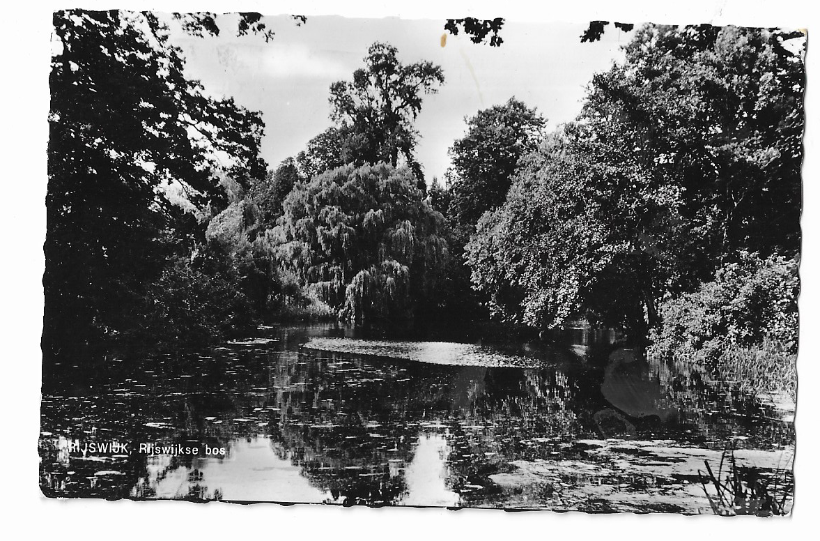 Rijswijk, Rijswijkse Bos